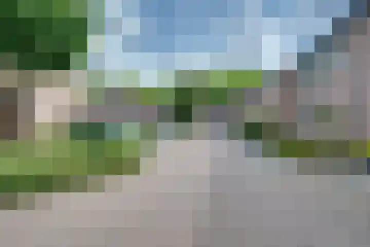 Bongelakker 19 Rijen foto 2