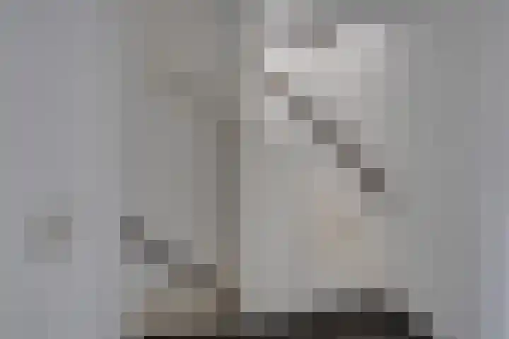 Bongelakker 19 Rijen thumbnail 20