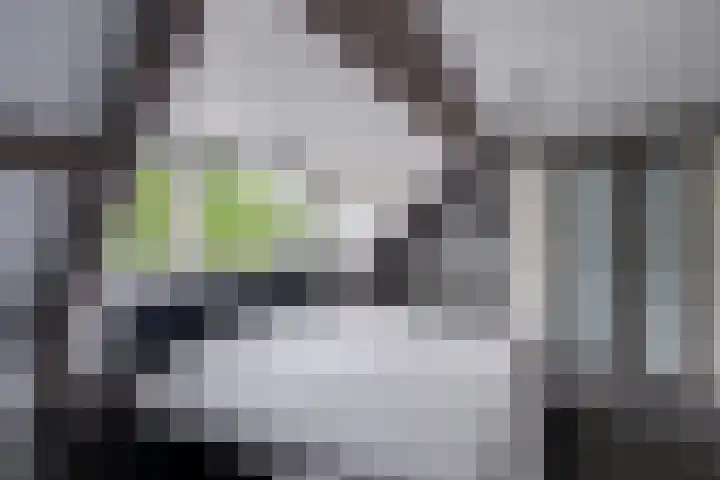 Bongelakker 19 Rijen thumbnail 22