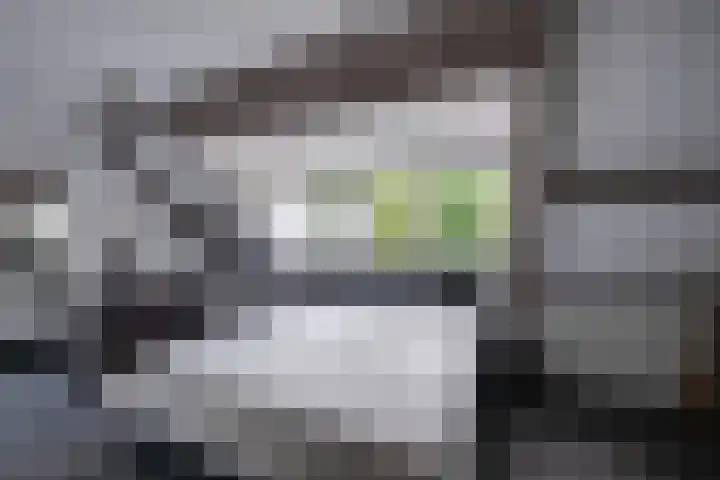 Bongelakker 19 Rijen thumbnail 23