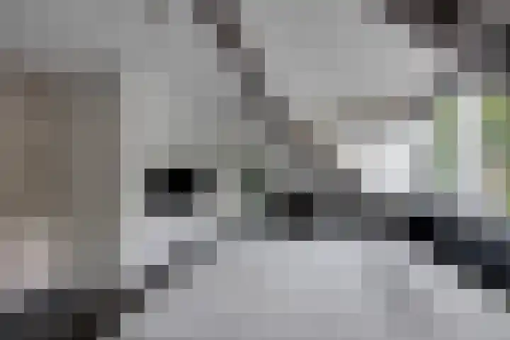 Bongelakker 19 Rijen thumbnail 24