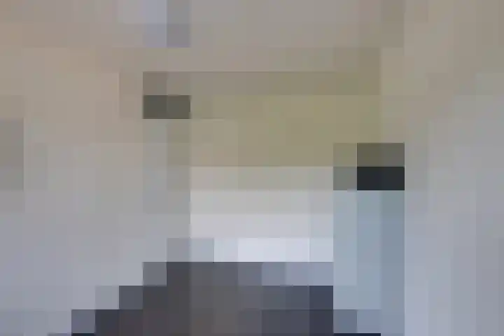 Bongelakker 19 Rijen thumbnail 27