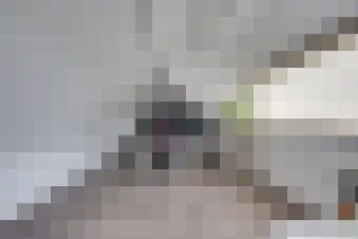Bongelakker 19 Rijen thumbnail 33