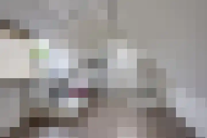 Bongelakker 19 Rijen thumbnail 34