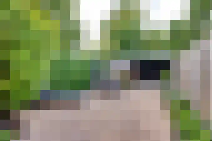 Bongelakker 19 Rijen thumbnail 35