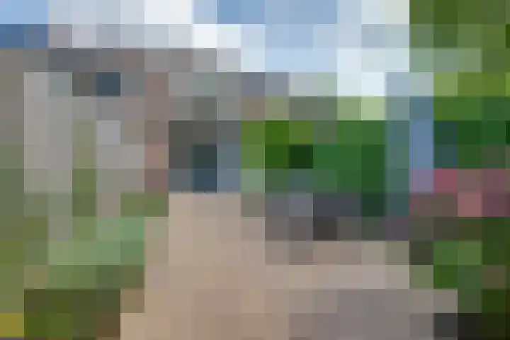 Bongelakker 19 Rijen thumbnail 36
