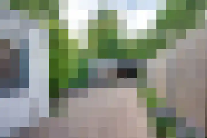 Bongelakker 19 Rijen thumbnail 37