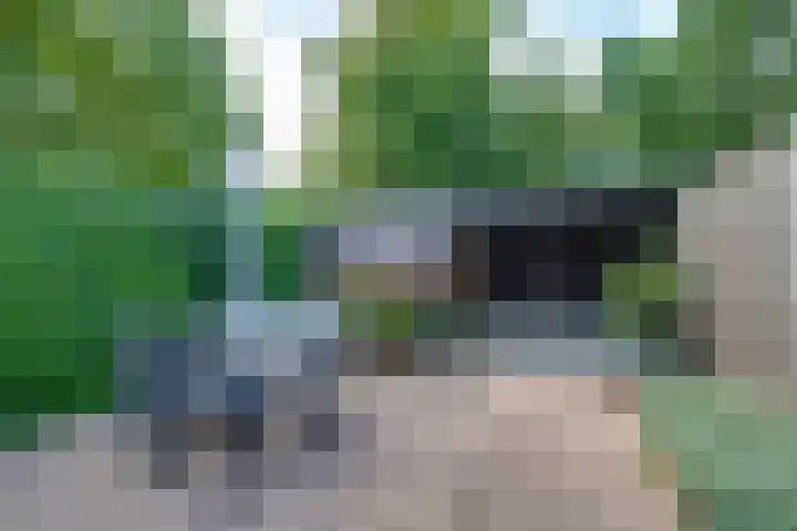 Bongelakker 19 Rijen thumbnail 38