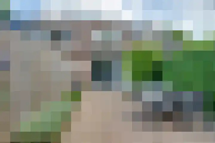 Bongelakker 19 Rijen thumbnail 39