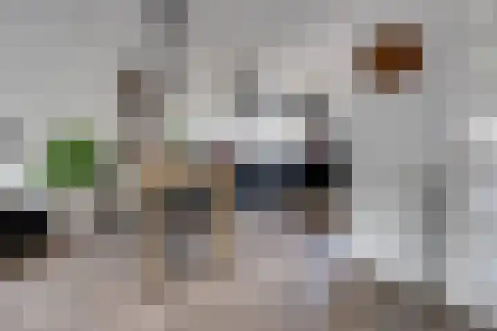 Bongelakker 19 Rijen thumbnail 4