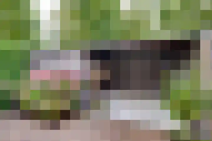 Bongelakker 19 Rijen thumbnail 41