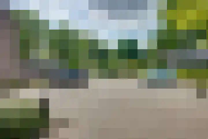 Bongelakker 19 Rijen thumbnail 42