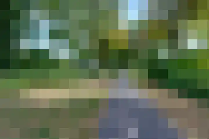 Bongelakker 19 Rijen thumbnail 43