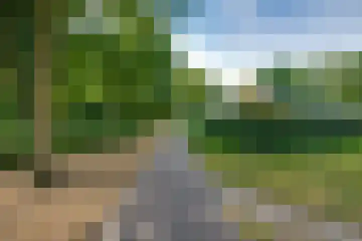 Bongelakker 19 Rijen thumbnail 44