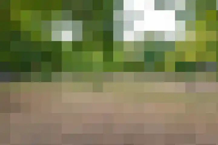 Bongelakker 19 Rijen thumbnail 45