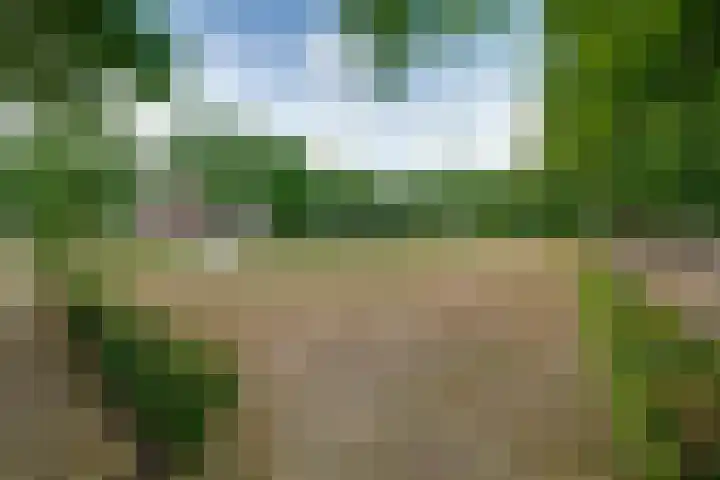 Bongelakker 19 Rijen thumbnail 46