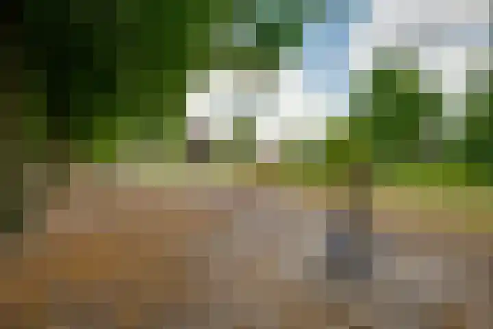 Bongelakker 19 Rijen thumbnail 47