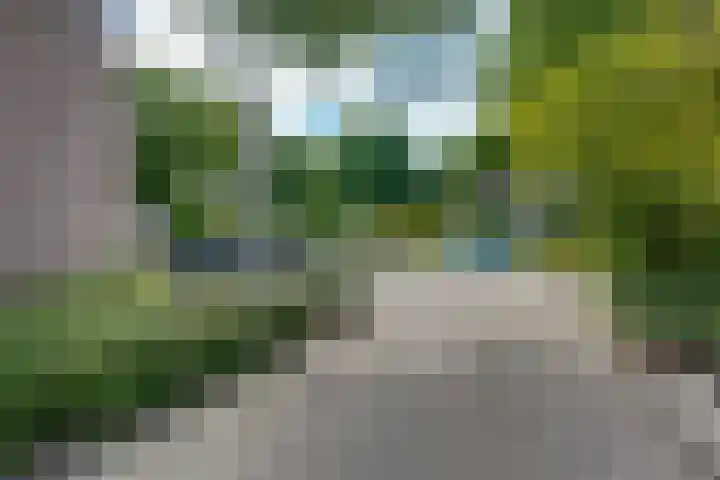 Bongelakker 19 Rijen thumbnail 6