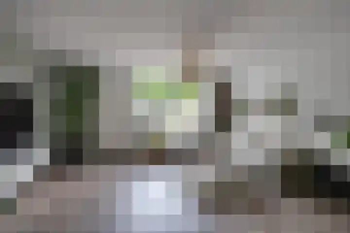 Bongelakker 19 Rijen thumbnail 9