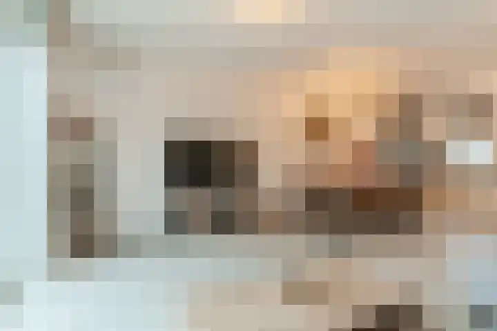 Bongelakker 23 Rijen thumbnail 11