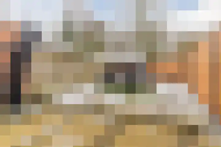 Bongelakker 23 Rijen thumbnail 16