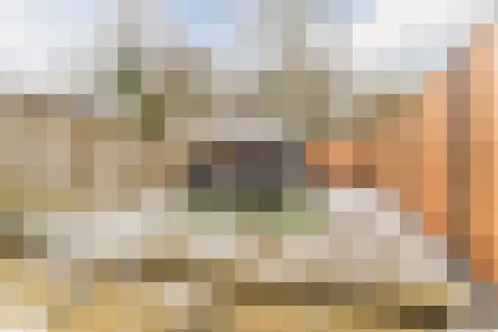 Bongelakker 23 Rijen thumbnail 17