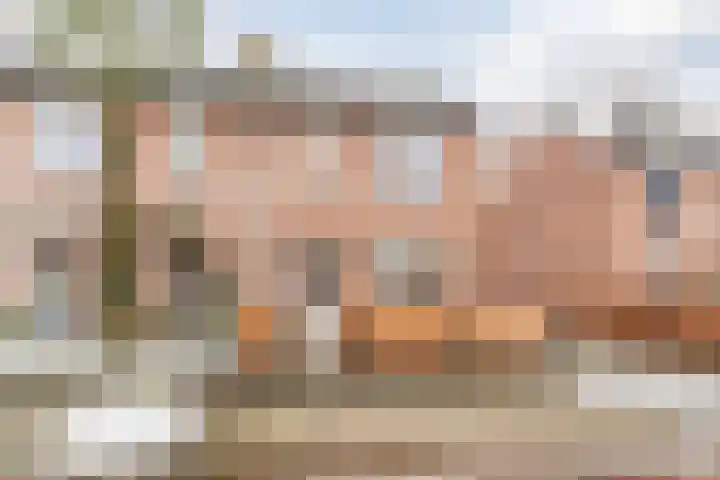 Bongelakker 23 Rijen thumbnail 39