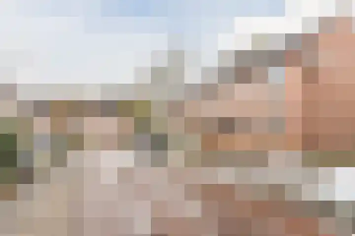 Bongelakker 23 Rijen thumbnail 41