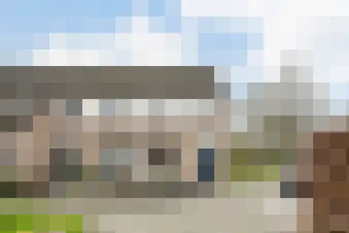 Bongelakker 55 A en Rijen