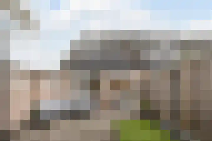 Bongelakker 55 A Rijen thumbnail 19
