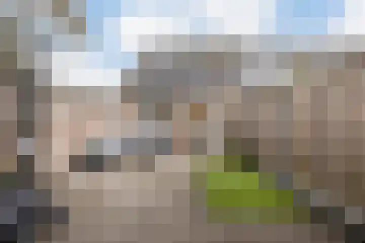 Bongelakker 55 A Rijen foto 2