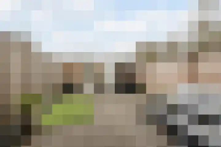 Bongelakker 55 A Rijen thumbnail 21