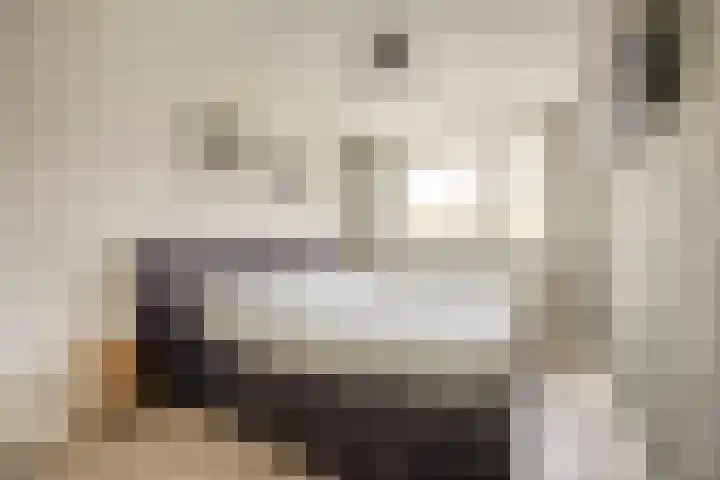 Bongelakker 55 A Rijen thumbnail 23