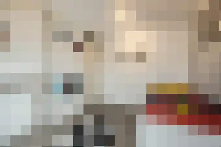 Bongelakker 55 A Rijen thumbnail 29