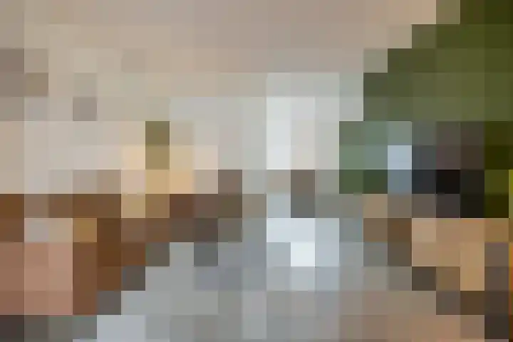 Bongelakker 55 A Rijen foto 3