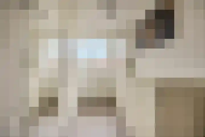 Bongelakker 55 A Rijen thumbnail 30