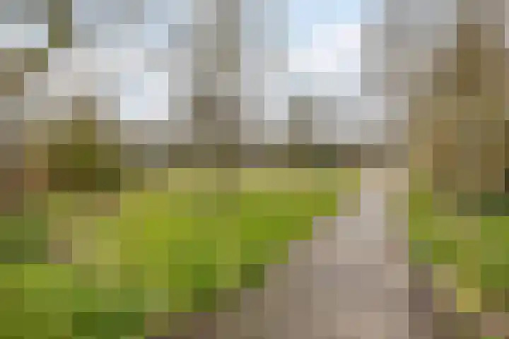 Bongelakker 55 A Rijen thumbnail 47