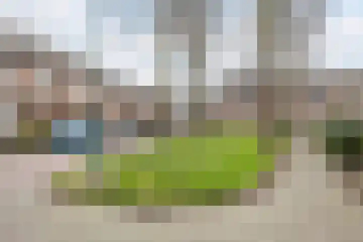 Bongelakker 55 A Rijen thumbnail 48