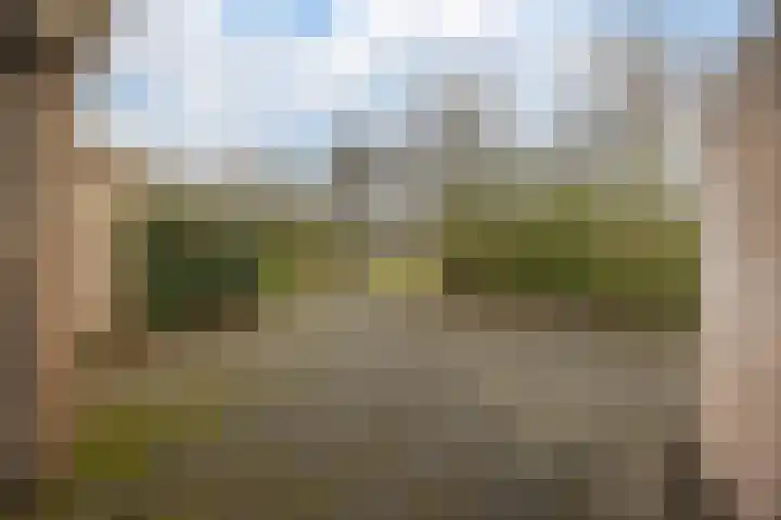 Bongelakker 55 A Rijen thumbnail 49