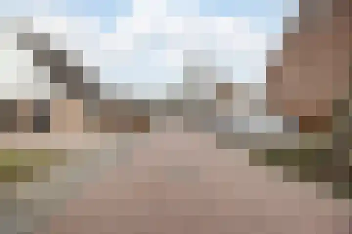 Bongelakker 55 A Rijen thumbnail 50