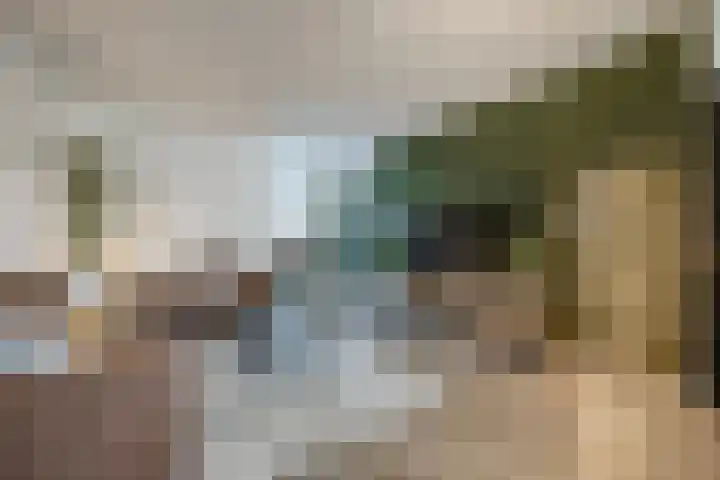 Bongelakker 55 A Rijen thumbnail 7
