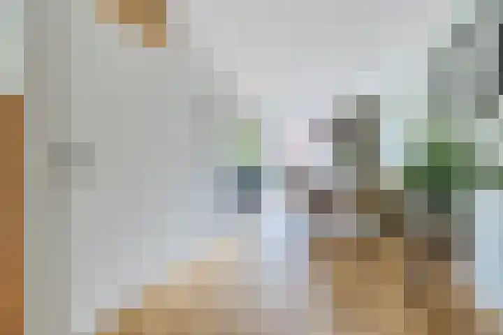 Bongelakker 56 A Rijen thumbnail 10