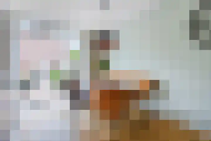Bongelakker 56 A Rijen thumbnail 12