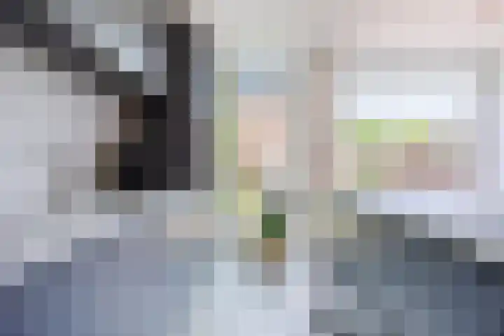 Bongelakker 56 A Rijen thumbnail 15