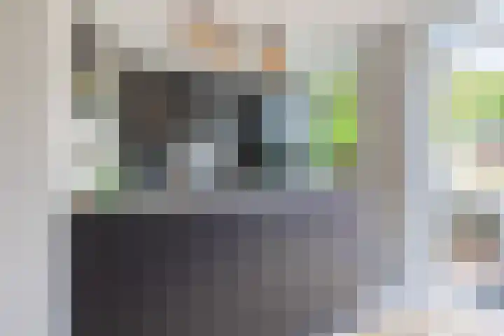 Bongelakker 56 A Rijen thumbnail 16