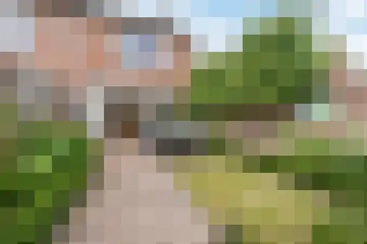 Bongelakker 56 A Rijen thumbnail 17