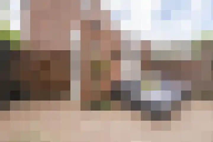 Bongelakker 56 A Rijen thumbnail 18