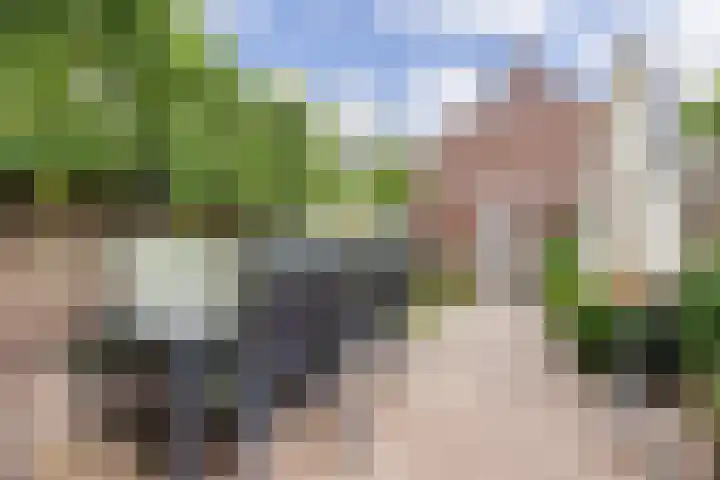 Bongelakker 56 A Rijen thumbnail 20