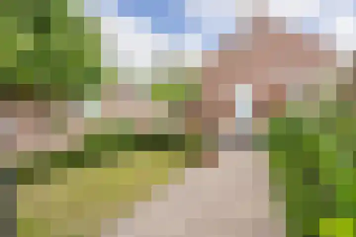 Bongelakker 56 A Rijen thumbnail 21