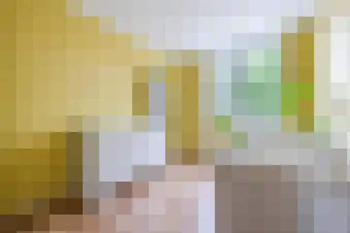 Bongelakker 56 A Rijen thumbnail 25